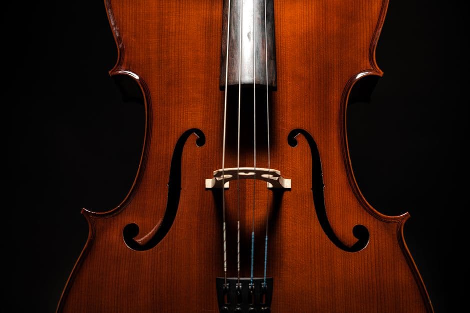 Youth string orchestra players near Tucker, GA