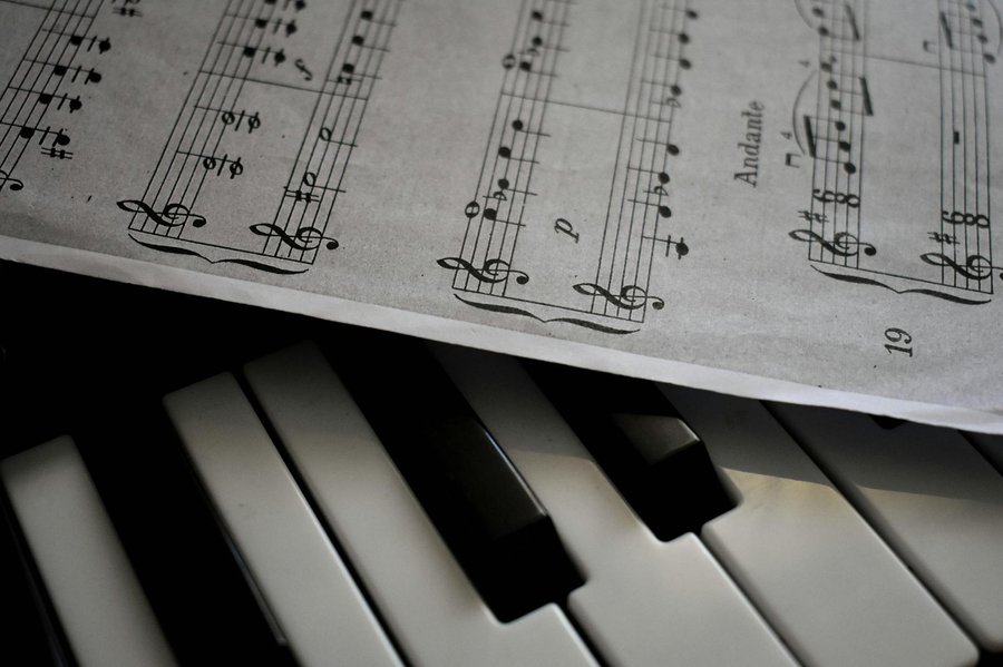 Guitar lessons for adults in Roswell Canton Street area